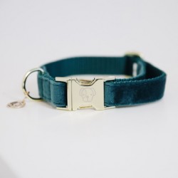 Hondenhalsband Velvet Emerald