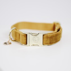 Hondenhalsband Velvet Mosterd