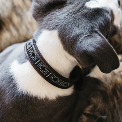 Hondenhalsband Handgemaakte parels Zilver