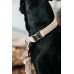 Hondenhalsband Wool Beige Hondenhalsband Wool Beige
