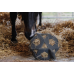 Kentucky Hooi en Speel bal