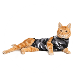 Recovery Suit Cat XXS