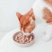 BAMBOO Slow Feeder voor Katten BAMBOO Slow Feeder voor Katten
