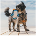 Beco Rough & Tough Pinguin - Small Beco Rough & Tough Pinguin - Small