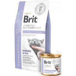Brit VD Kat Gastro Intestinal