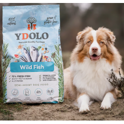 YDOLO Healthy & Pure Wild Fish 10kg